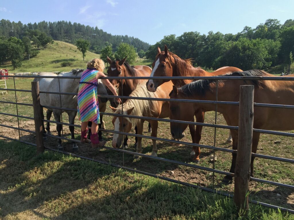 Little girl in rainbow dress and pink cowboy boots climbing on a fence to pet six horses on the other side