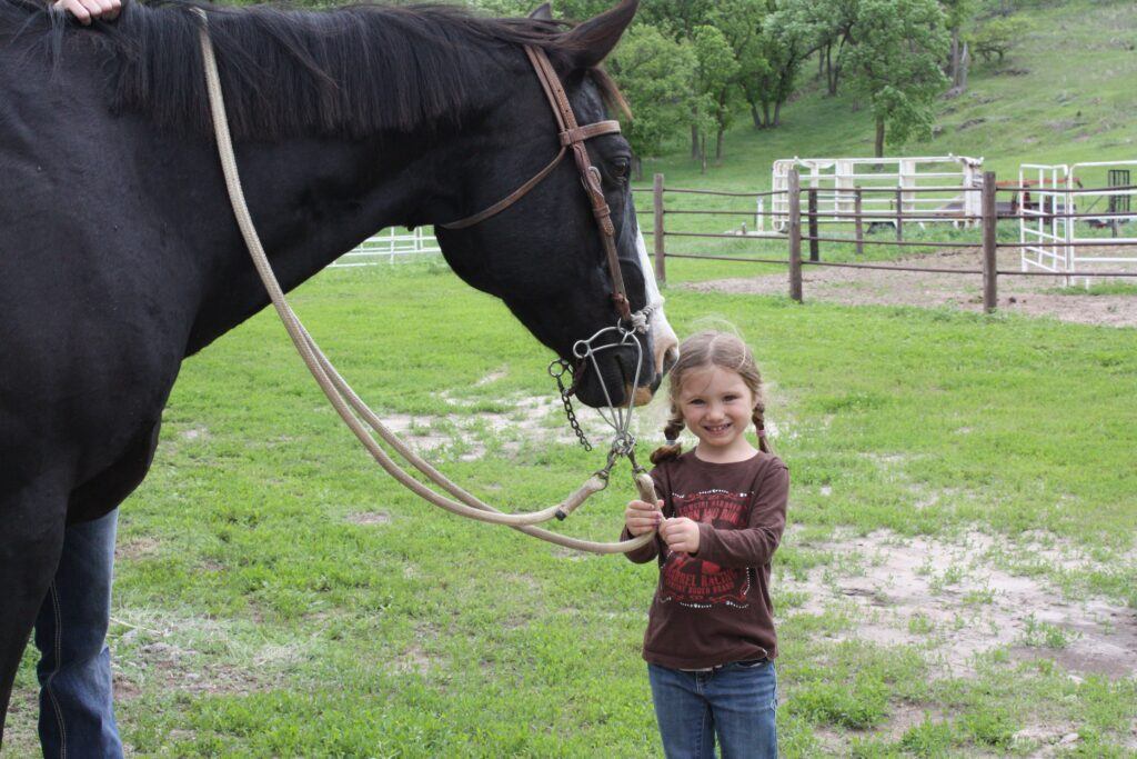 Four-year-old girl wearing pigtail braids standing next to a black horse