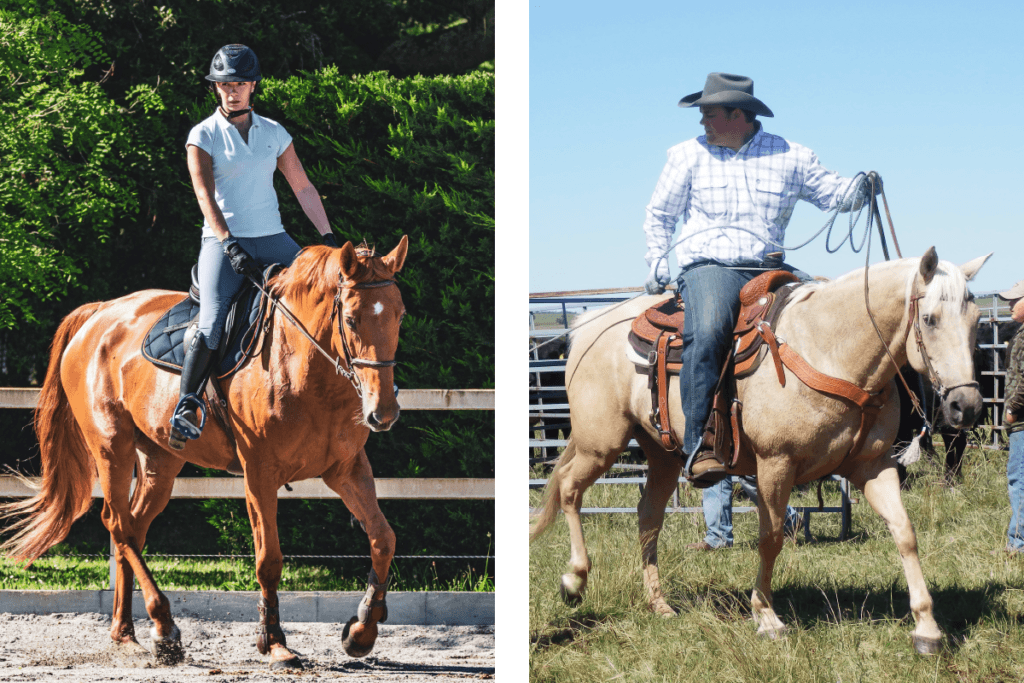 Riders demonstrating English and Western riding positions