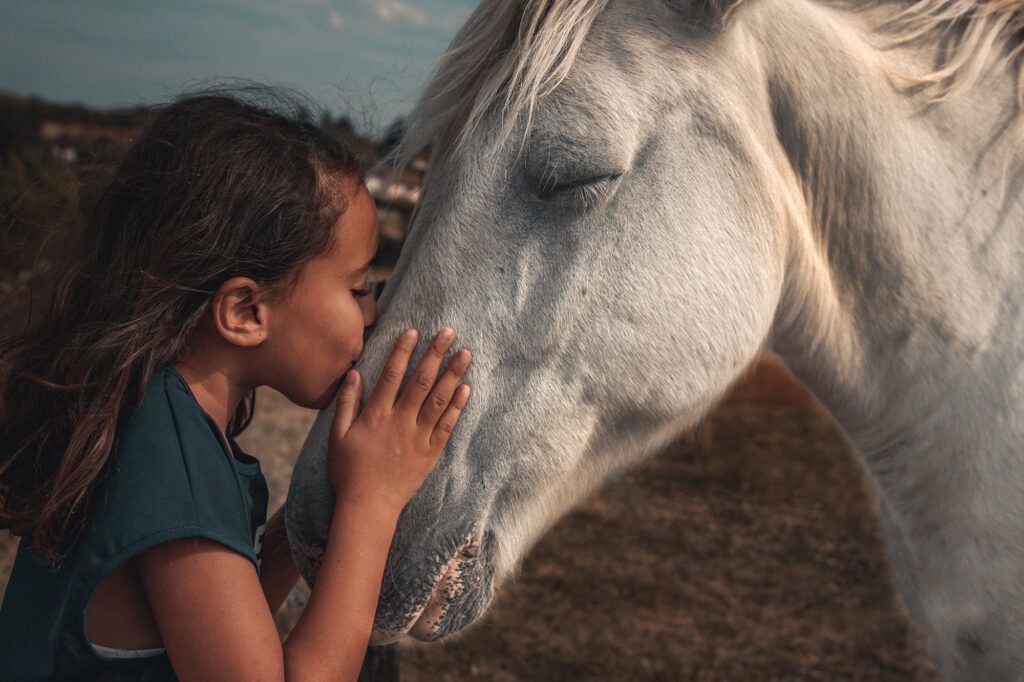 Young girl kissing a gray horse on the nose