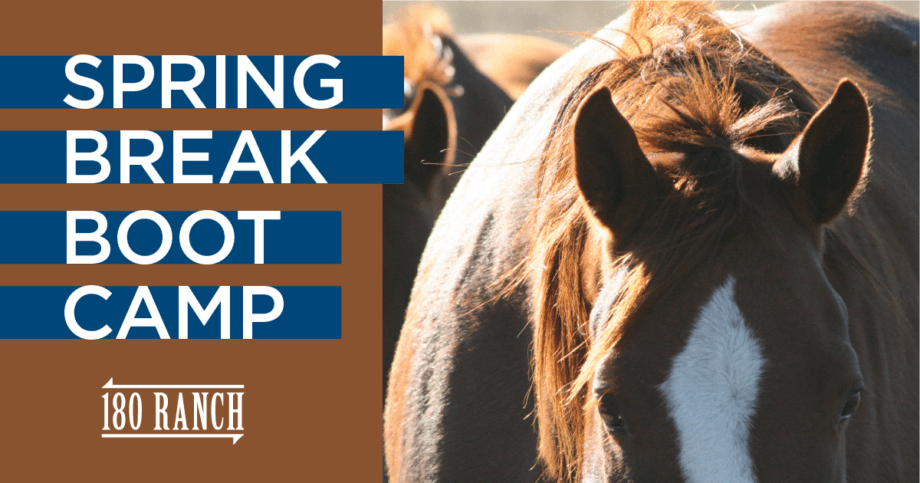 On the left side of the graphic is a brown square and text that says "spring break boot camp" with the 180 Ranch logo; the right of the graphic is a closeup photo of a sorrel horse with a blaze