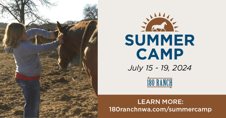 Graphic with a picture of a young girl haltering a brown horse to the left. She is wearing a gray hoodie and blue jeans. The right side of the graphic has a brown sun with a silhouette of a trotting horse. Underneath the sun it says "Summer Camp" in bold blue text, then "July 15-19, 2024" in black italic text, then a logo that says 180 Ranch. The bottom right of the graphic says "learn more: 180ranchnwa.com/summercamp."