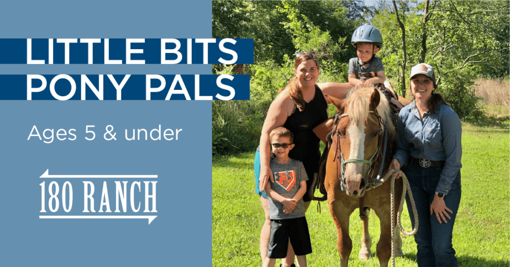 A 2-year-old boy wearing a blue riding helmet and gray t-shirt sits on a chestnut Haflinger gelding with flaxen mane and tail. His mother and brother stand to the horse's right, and his aunt stands to the horse's left.