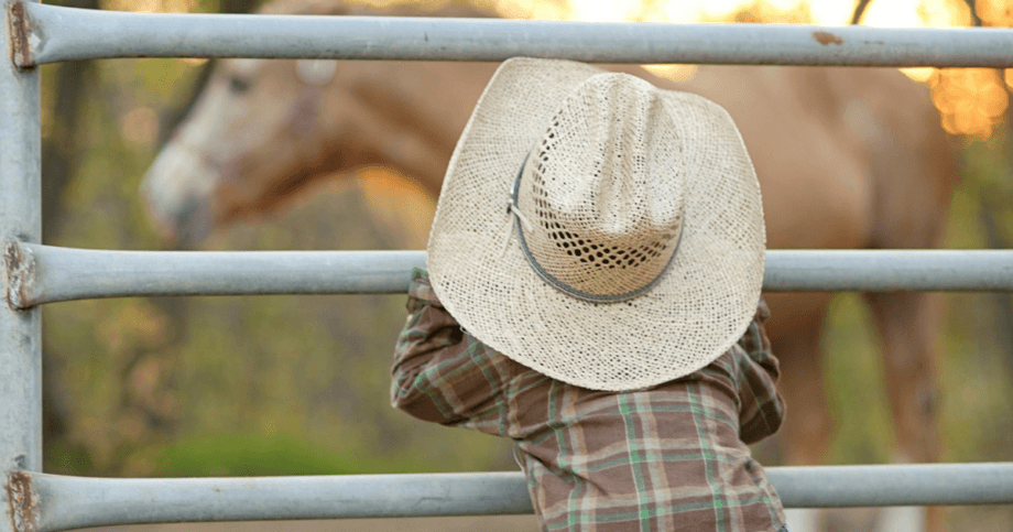 child with straw cowboy hat stands on fence looking at a horse