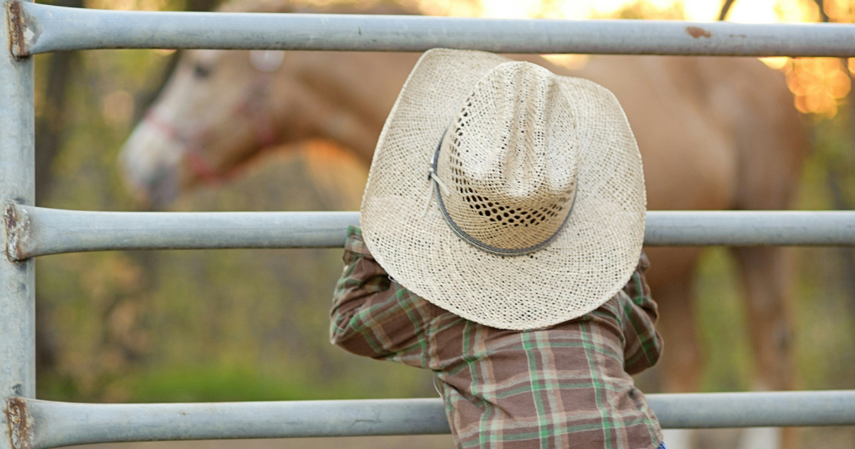 Rodeo of the Ozarks Horse Camp