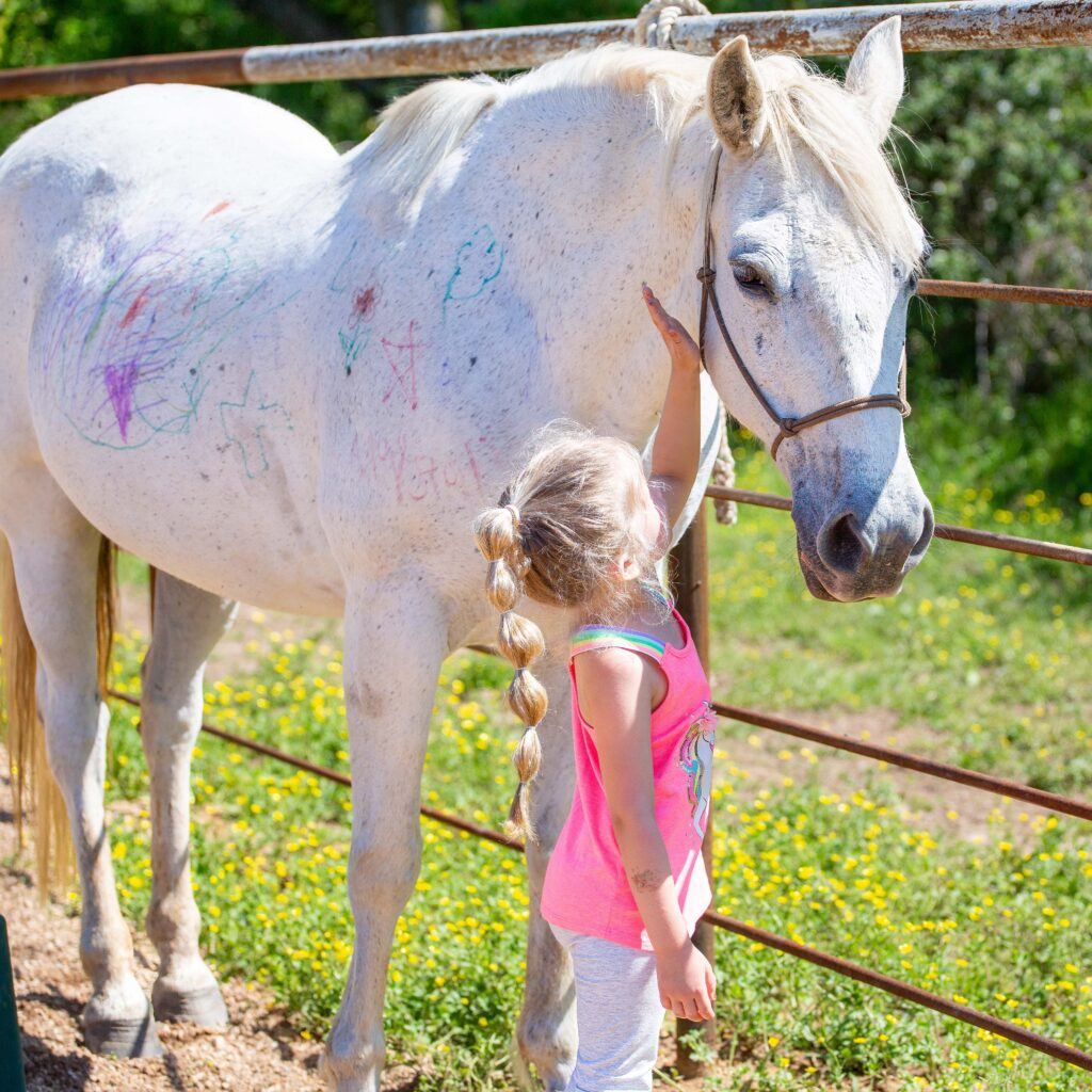 Girl with blond braided hair and pink shirt pets a gray horses 