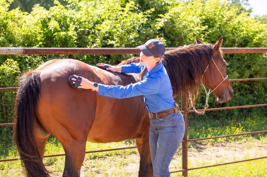 Woman in blue long sleeve shirt, navy blue ball cap and blue jeans demonstrates how to use curry combs on a brown horse