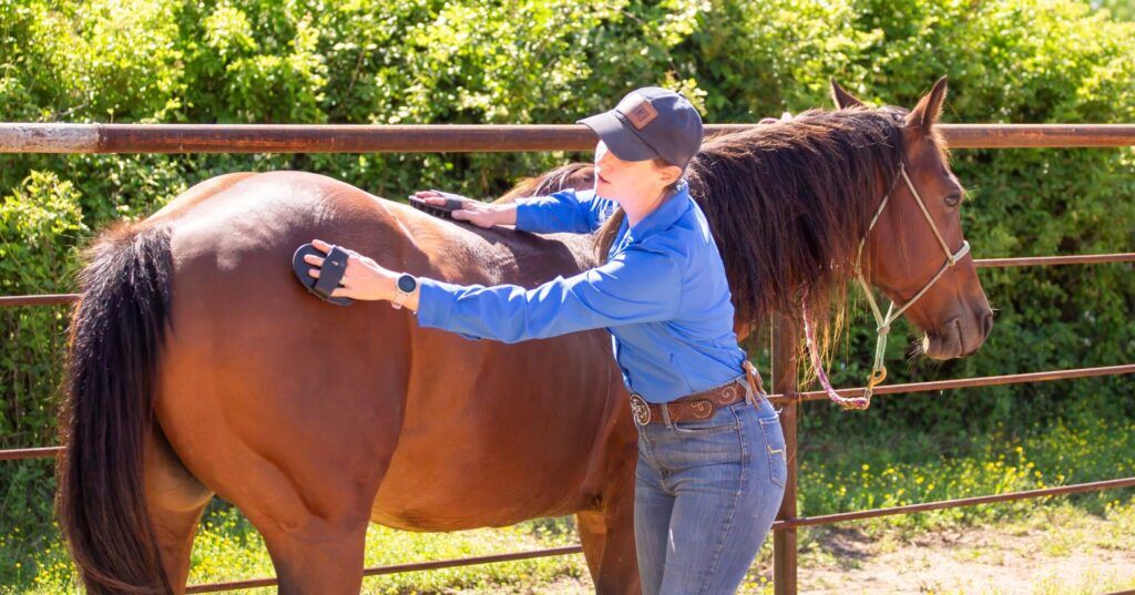 Woman in blue long sleeve shirt, navy blue ball cap and blue jeans demonstrates how to use curry combs on a brown horse