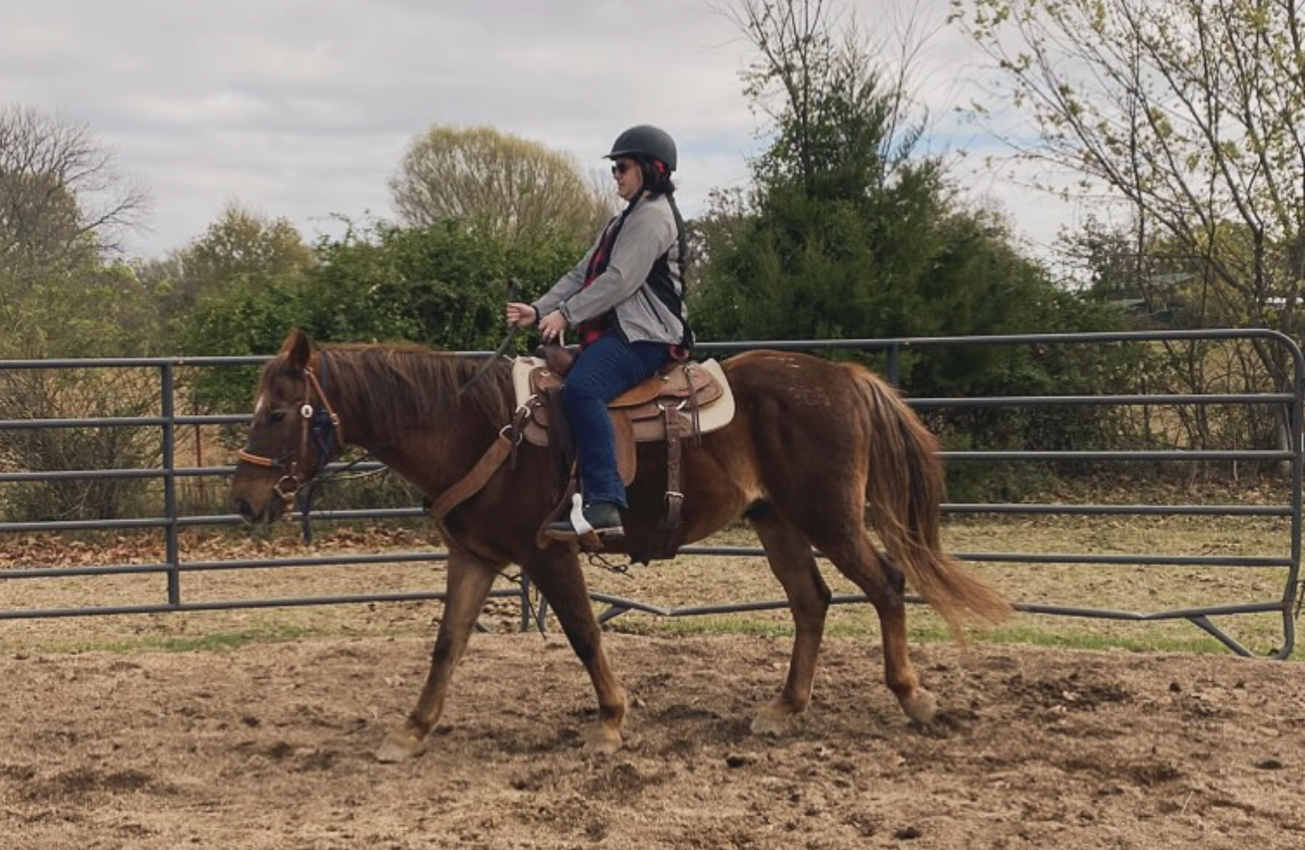 woman riding a brown horse