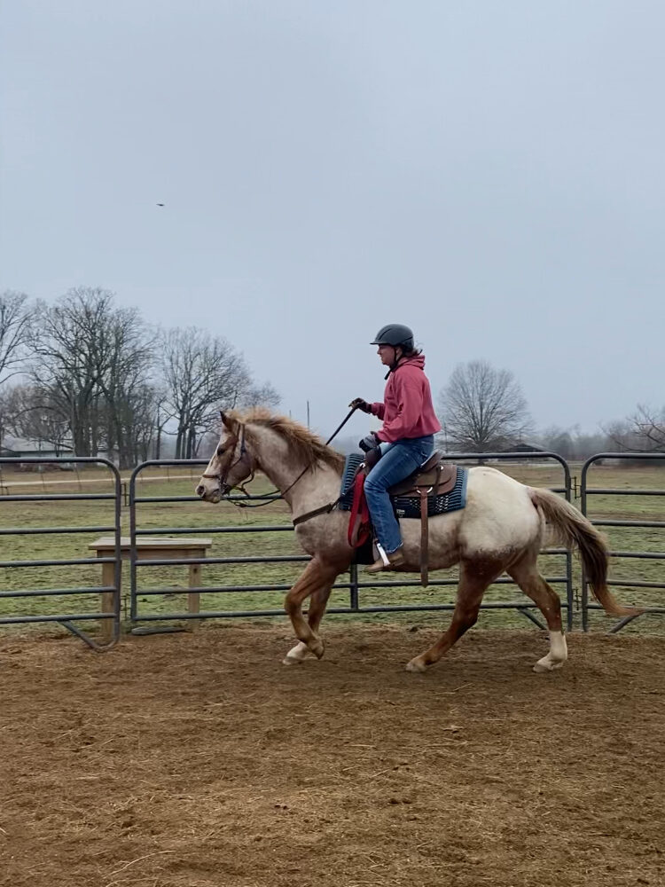 woman cantering on an appaloosa horse
