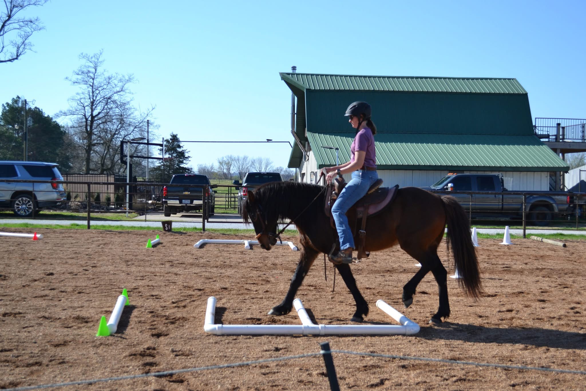 October 10 Intro to Cowboy Dressage Clinic