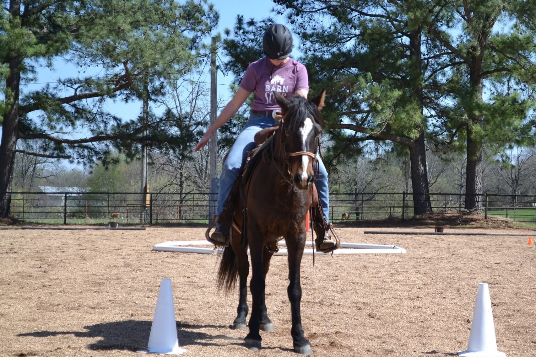 cowboy dressage rider saluting